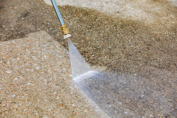 Best House Exterior Washing  in Ripley, OH